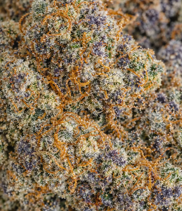 OG Kush US đ đ đ