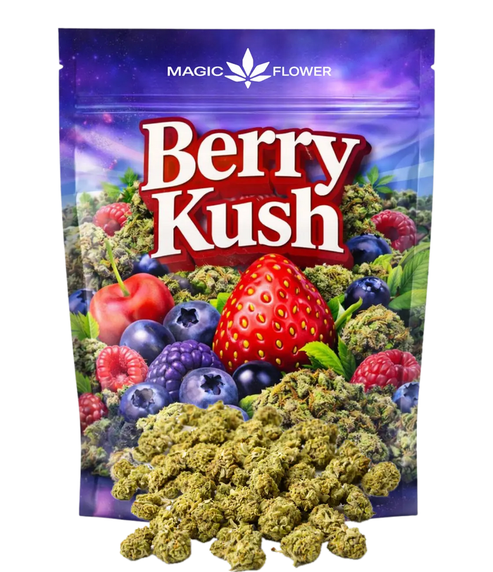 Kush Berry 🍓 🍓 🍓