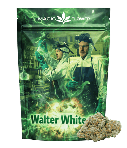 Walter White OG ⚗️ ⚗️ ⚗️