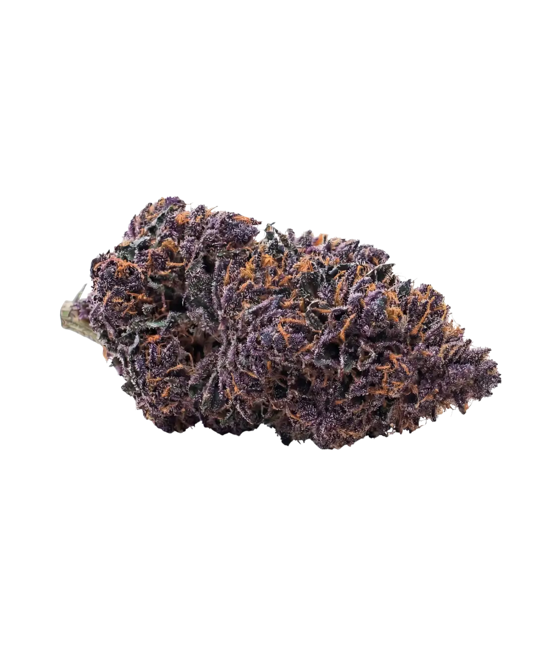 Blueberry Kush 🫐 🫐 🫐